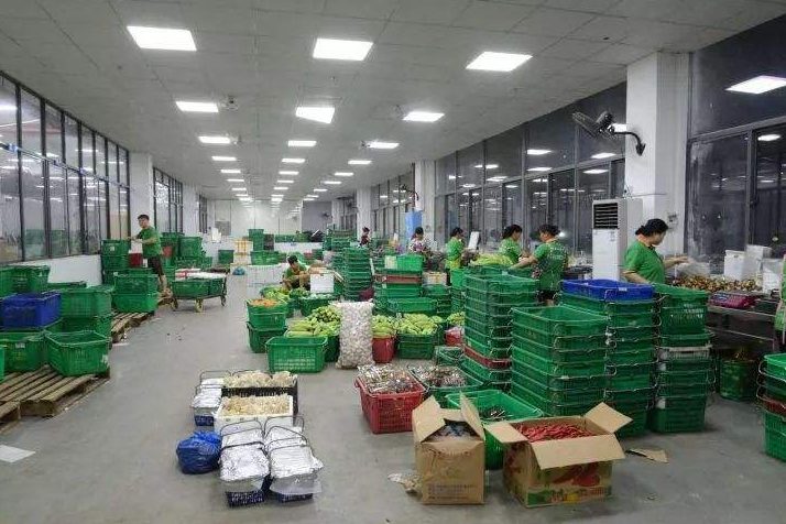 成都蔬菜配送公司源头厂家口碑怎么选 成都蔬菜配送公司源头厂家口碑怎么选