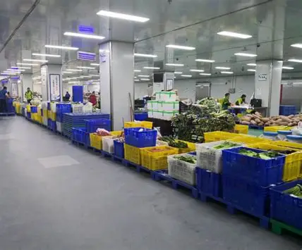 成都蔬菜配送公司源头厂家实力哪家靠谱